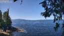 ./images/koeye/fitz-hugh/20260714/fitz-hugh20260714_121001M.jpg