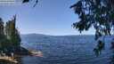 ./images/koeye/fitz-hugh/20260714/fitz-hugh20260714_122001M.jpg