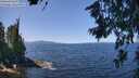 ./images/koeye/fitz-hugh/20260714/fitz-hugh20260714_123002M.jpg