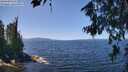 ./images/koeye/fitz-hugh/20260714/fitz-hugh20260714_124501M.jpg