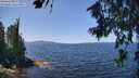 ./images/koeye/fitz-hugh/20260714/fitz-hugh20260714_125501M.jpg