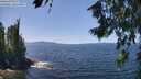 ./images/koeye/fitz-hugh/20260714/fitz-hugh20260714_132502M.jpg