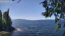 ./images/koeye/fitz-hugh/20260714/fitz-hugh20260714_134001M.jpg