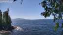 ./images/koeye/fitz-hugh/20260714/fitz-hugh20260714_135001M.jpg