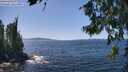 ./images/koeye/fitz-hugh/20260714/fitz-hugh20260714_135502M.jpg