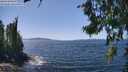 ./images/koeye/fitz-hugh/20260714/fitz-hugh20260714_140002M.jpg