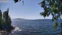 ./images/koeye/fitz-hugh/20260714/fitz-hugh20260714_142001M.jpg
