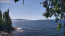 ./images/koeye/fitz-hugh/20260714/fitz-hugh20260714_142501M.jpg