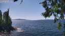 ./images/koeye/fitz-hugh/20260714/fitz-hugh20260714_143001M.jpg