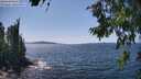 ./images/koeye/fitz-hugh/20260714/fitz-hugh20260714_144001M.jpg