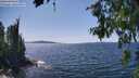 ./images/koeye/fitz-hugh/20260714/fitz-hugh20260714_145001M.jpg