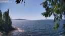 ./images/koeye/fitz-hugh/20260714/fitz-hugh20260714_145501M.jpg