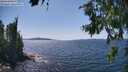 ./images/koeye/fitz-hugh/20260714/fitz-hugh20260714_150001M.jpg