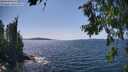 ./images/koeye/fitz-hugh/20260714/fitz-hugh20260714_150501M.jpg