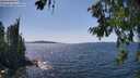 ./images/koeye/fitz-hugh/20260714/fitz-hugh20260714_151001M.jpg