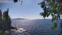 ./images/koeye/fitz-hugh/20260714/fitz-hugh20260714_154501M.jpg