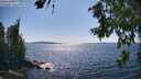./images/koeye/fitz-hugh/20260714/fitz-hugh20260714_161002M.jpg