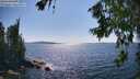 ./images/koeye/fitz-hugh/20260714/fitz-hugh20260714_161501M.jpg