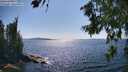 ./images/koeye/fitz-hugh/20260714/fitz-hugh20260714_162002M.jpg