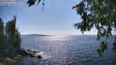 ./images/koeye/fitz-hugh/20260714/fitz-hugh20260714_162501M.jpg