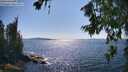 ./images/koeye/fitz-hugh/20260714/fitz-hugh20260714_163001M.jpg