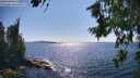 ./images/koeye/fitz-hugh/20260714/fitz-hugh20260714_163501M.jpg