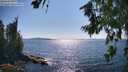 ./images/koeye/fitz-hugh/20260714/fitz-hugh20260714_164501M.jpg