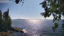 ./images/koeye/fitz-hugh/20260714/fitz-hugh20260714_165502M.jpg