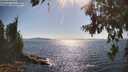 ./images/koeye/fitz-hugh/20260714/fitz-hugh20260714_170001M.jpg