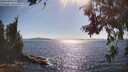 ./images/koeye/fitz-hugh/20260714/fitz-hugh20260714_170501M.jpg