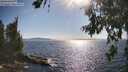 ./images/koeye/fitz-hugh/20260714/fitz-hugh20260714_173002M.jpg