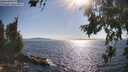 ./images/koeye/fitz-hugh/20260714/fitz-hugh20260714_173501M.jpg
