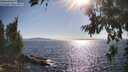 ./images/koeye/fitz-hugh/20260714/fitz-hugh20260714_174001M.jpg