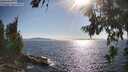 ./images/koeye/fitz-hugh/20260714/fitz-hugh20260714_174502M.jpg