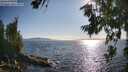 ./images/koeye/fitz-hugh/20260714/fitz-hugh20260714_182001M.jpg