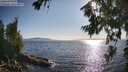 ./images/koeye/fitz-hugh/20260714/fitz-hugh20260714_183001M.jpg