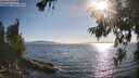 ./images/koeye/fitz-hugh/20260714/fitz-hugh20260714_183501M.jpg