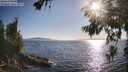 ./images/koeye/fitz-hugh/20260714/fitz-hugh20260714_184001M.jpg