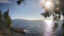 ./images/koeye/fitz-hugh/20260714/fitz-hugh20260714_184501M.jpg