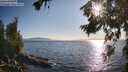 ./images/koeye/fitz-hugh/20260714/fitz-hugh20260714_185001M.jpg