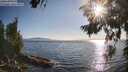 ./images/koeye/fitz-hugh/20260714/fitz-hugh20260714_185502M.jpg