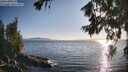 ./images/koeye/fitz-hugh/20260714/fitz-hugh20260714_192001M.jpg