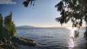 ./images/koeye/fitz-hugh/20260714/fitz-hugh20260714_192501M.jpg