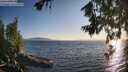 ./images/koeye/fitz-hugh/20260714/fitz-hugh20260714_200501M.jpg