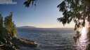 ./images/koeye/fitz-hugh/20260714/fitz-hugh20260714_201501M.jpg