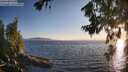 ./images/koeye/fitz-hugh/20260714/fitz-hugh20260714_202501M.jpg