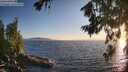 ./images/koeye/fitz-hugh/20260714/fitz-hugh20260714_203501M.jpg