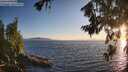 ./images/koeye/fitz-hugh/20260714/fitz-hugh20260714_204001M.jpg