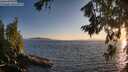 ./images/koeye/fitz-hugh/20260714/fitz-hugh20260714_204502M.jpg