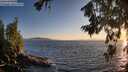 ./images/koeye/fitz-hugh/20260714/fitz-hugh20260714_205001M.jpg